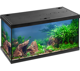 Eheim Aquastar LED 54 litraa