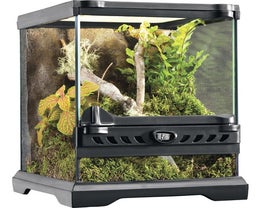 Exo Terra Terrarium Nano Wide 20&times;20&times;20 cm