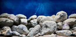 Taustakuva (korkeus 45cm)