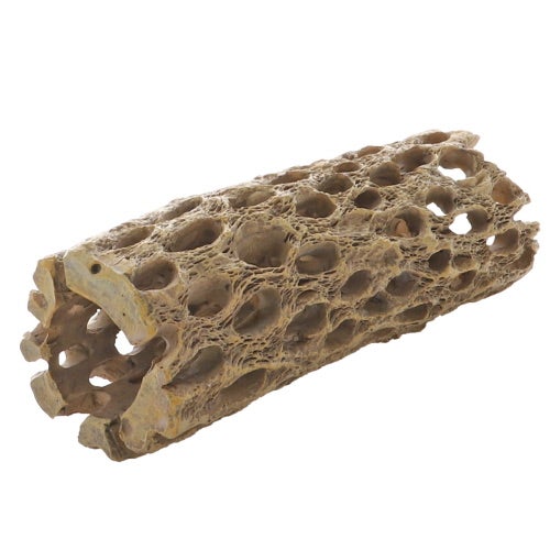 Hobby kaktuspuuluola / Vulka stick 16x5,5x5,5cm